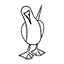 Nauka
